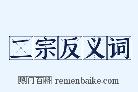 二宗反义词是什么意思的图片